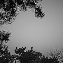 4人联机派对游戏《星引擎Party》公布首个PV Q1发售